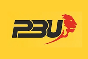 prakash-battery-udhyog